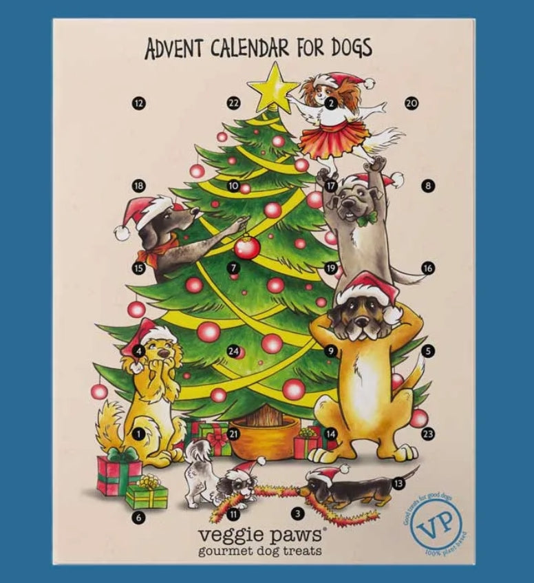 2025 Advent Calendar