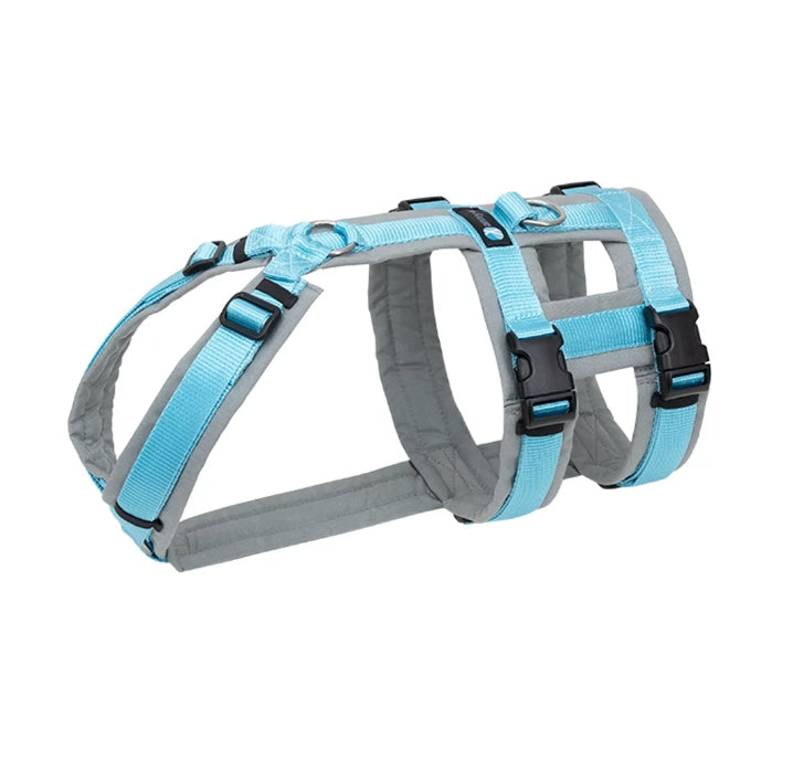 Anny.x Harness Safety (Escape Proof)