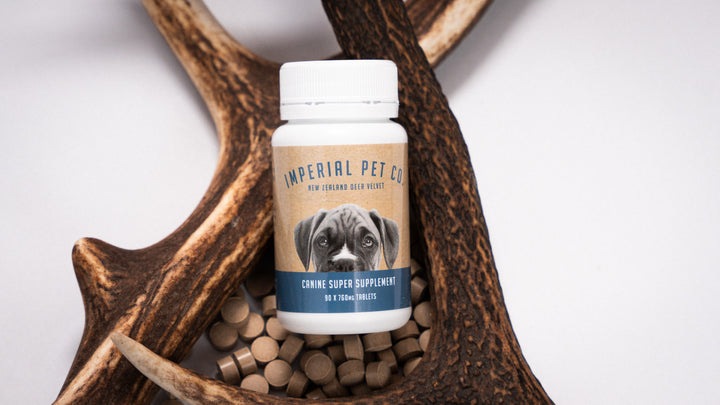 Deer Velvet Joint Supplement