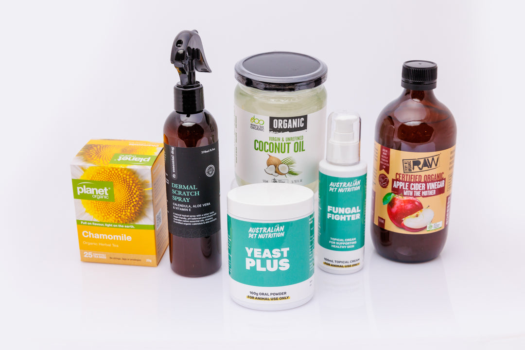 Yeasty Dog Starter Bundle
