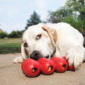 Kong Goodie Ribbon Classic Medium *