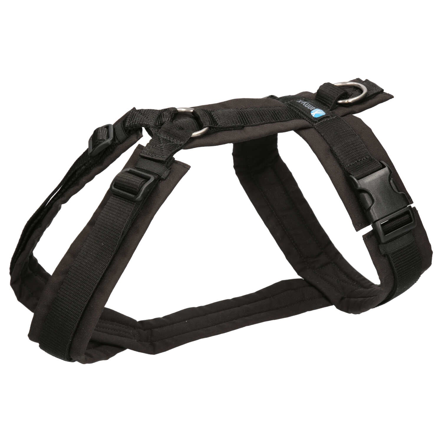 Anny.x Harness Fun