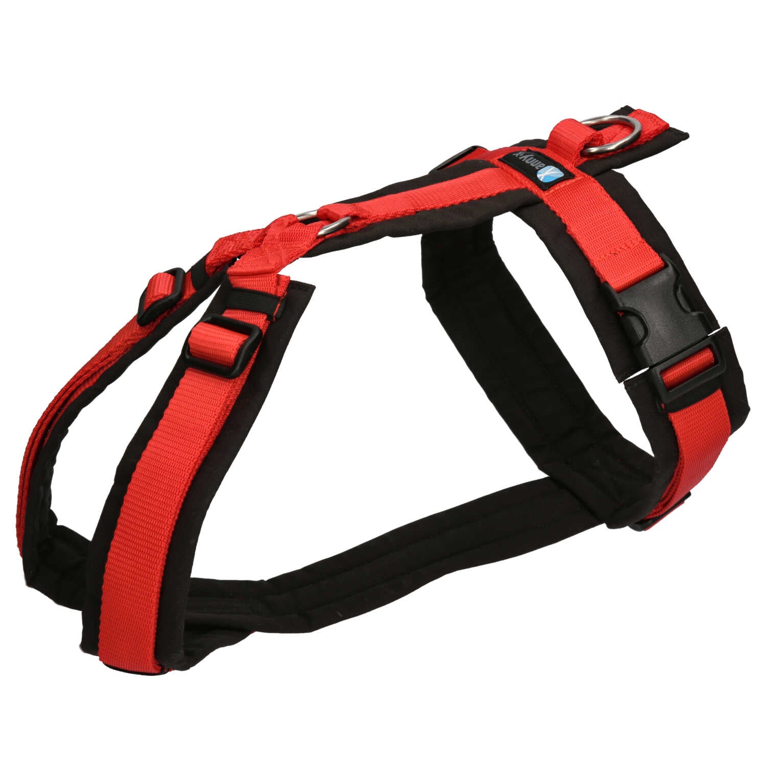 Anny.x Harness Fun