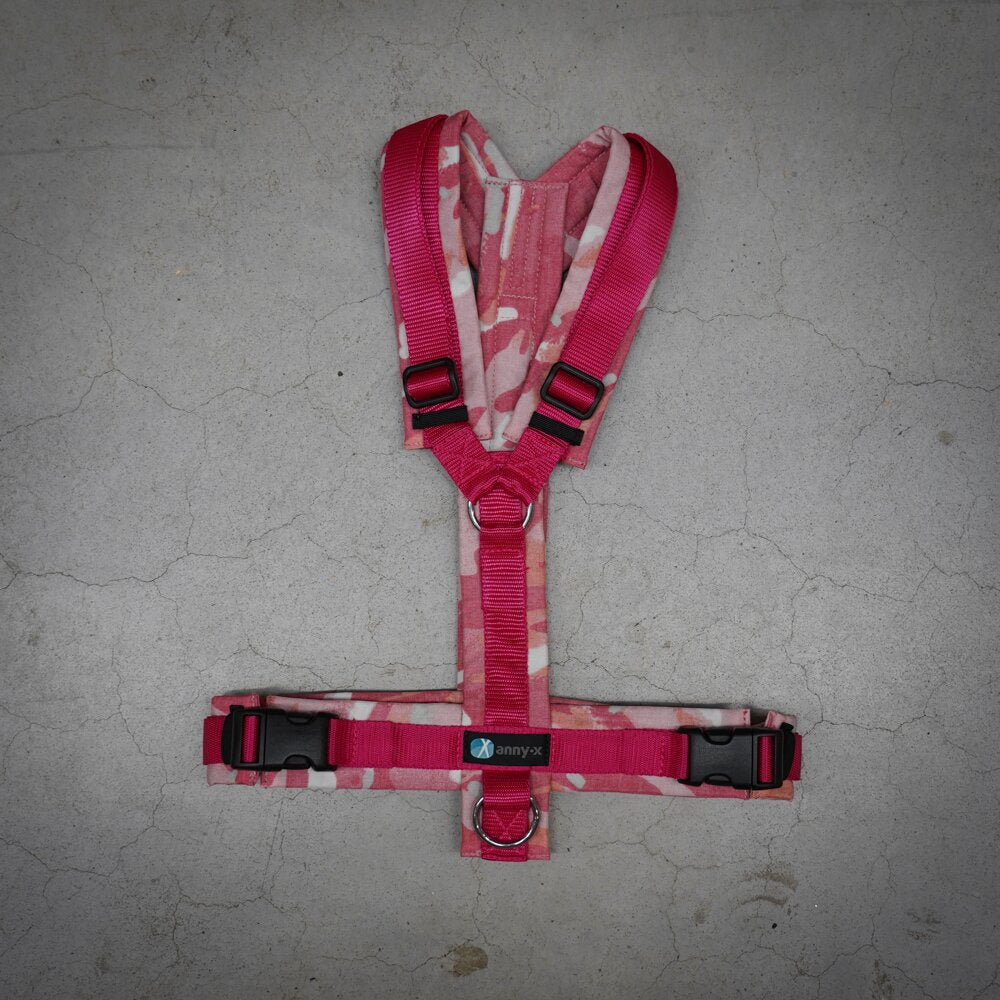 Anny.x Harness Fun