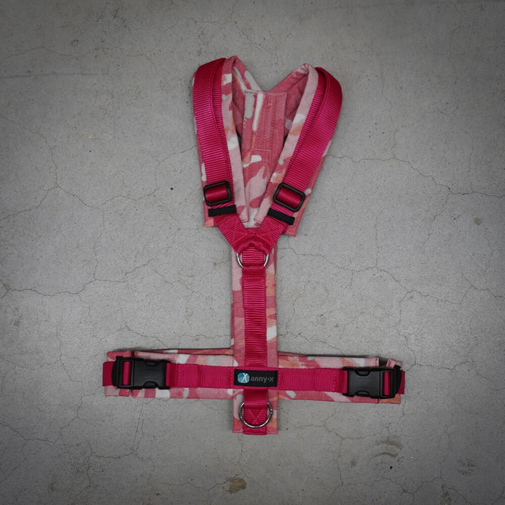 Anny.x Harness Fun