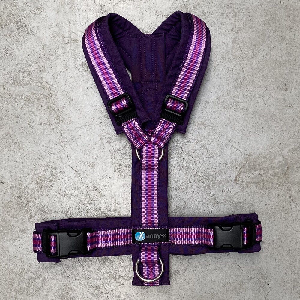 Anny.x Harness Fun