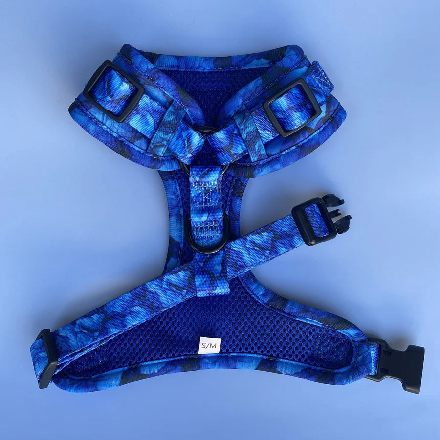 Dizzy Dog Harness