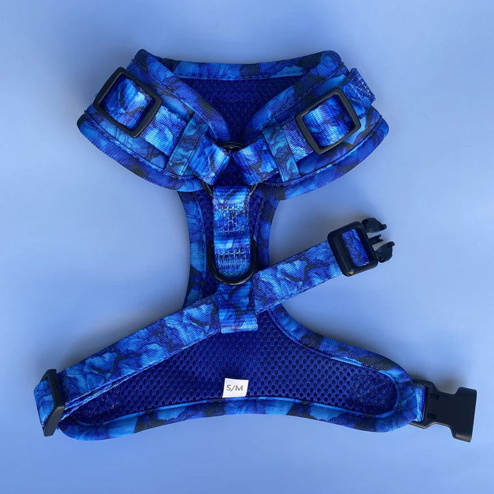 Dizzy Dog Harness