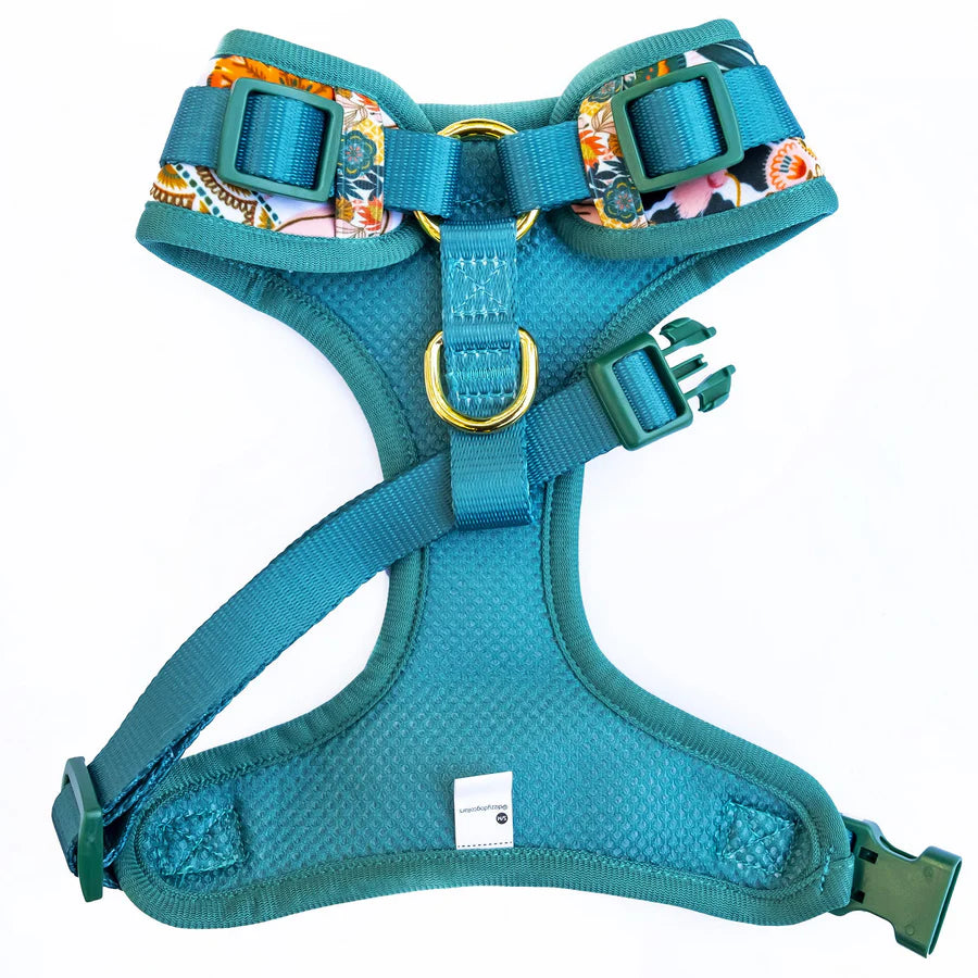 Dizzy Dog Harness