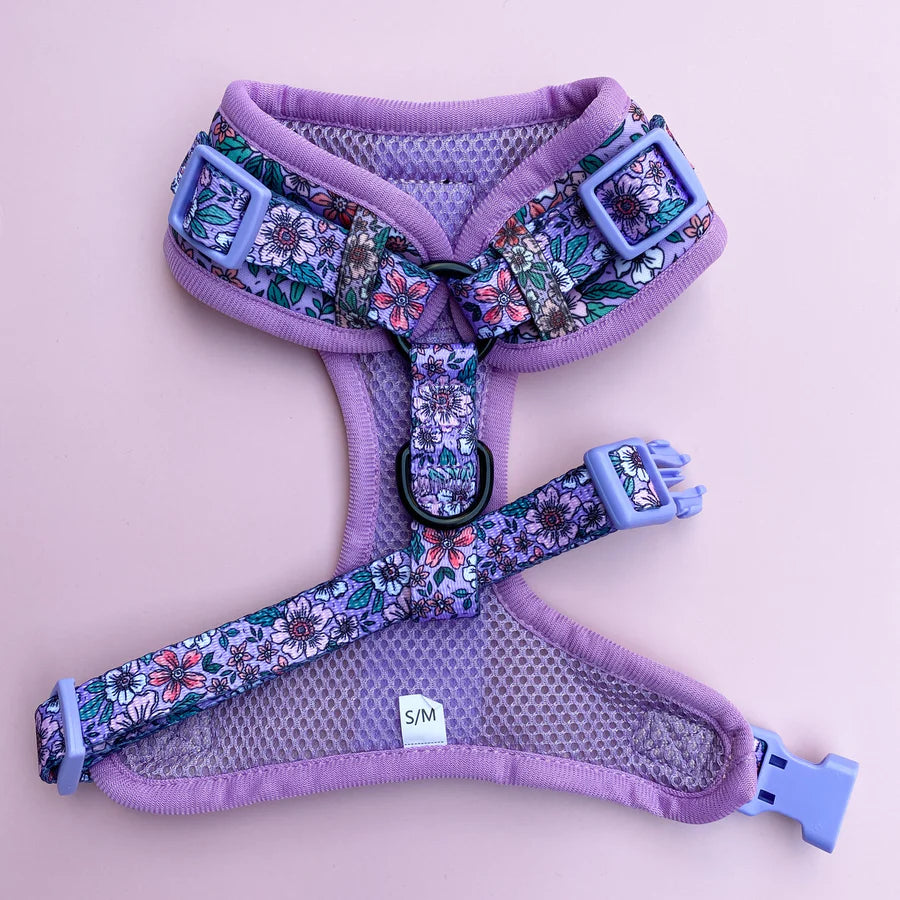 Dizzy Dog Harness