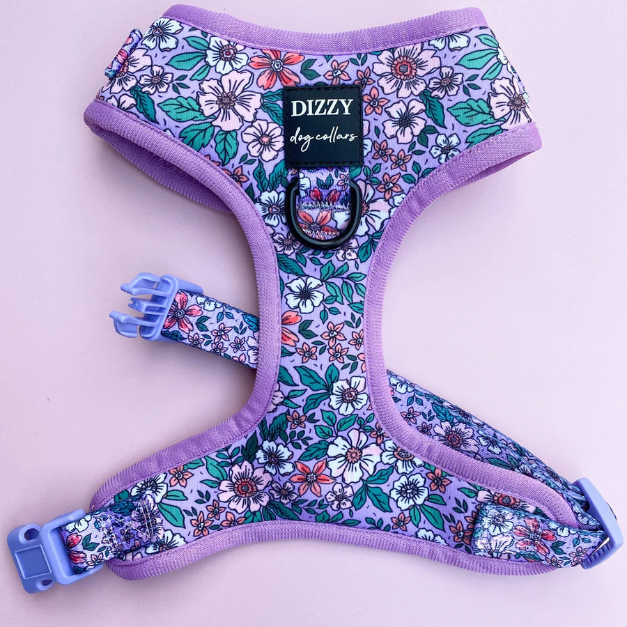 Dizzy Dog Harness