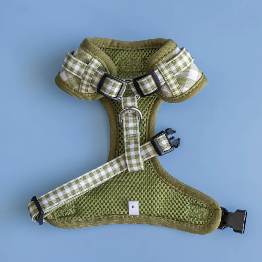 Dizzy Dog Harness