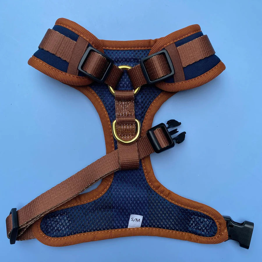 Dizzy Dog Harness