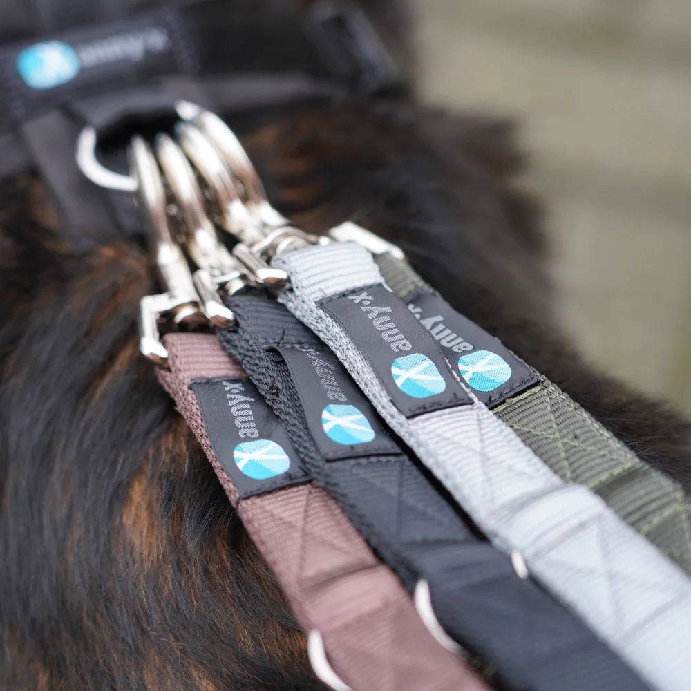 anny.x Leash Easy Fun