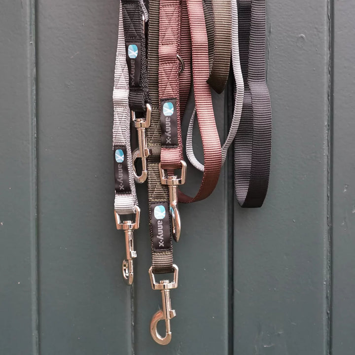 anny.x Leash Easy Fun