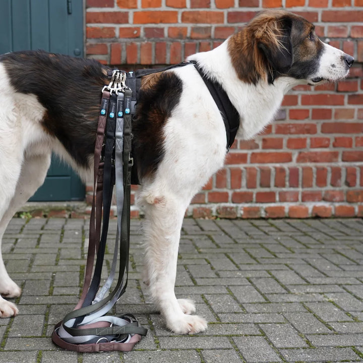 anny.x Leash Easy Fun