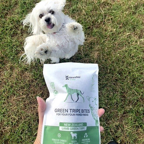Korure Pets NZ Lamb Green Tripe Topper/Treats 50g
