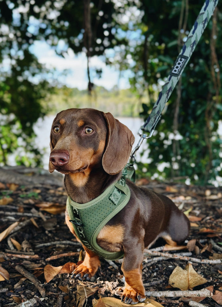 DOOG Neosport Dog Harness