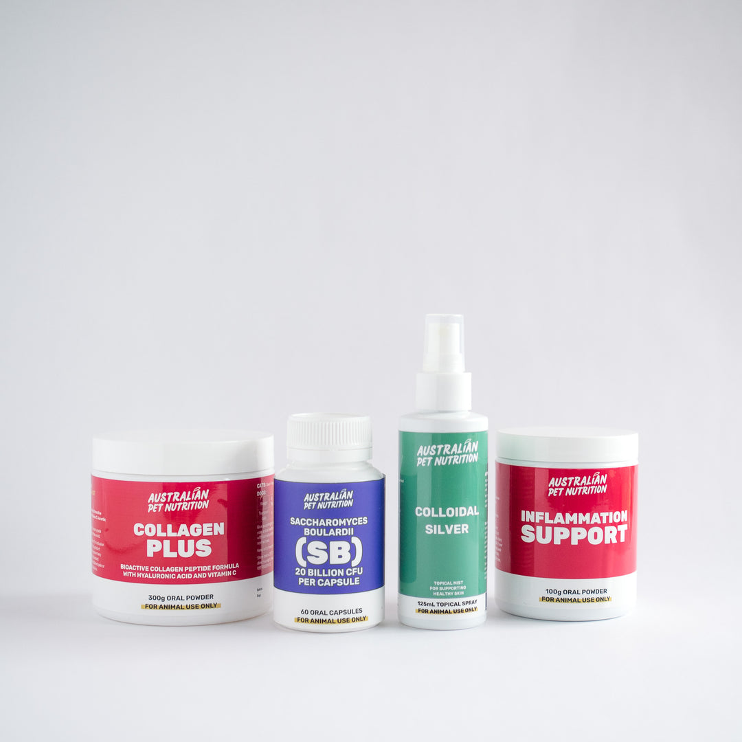 Surgery Recovery Bundle