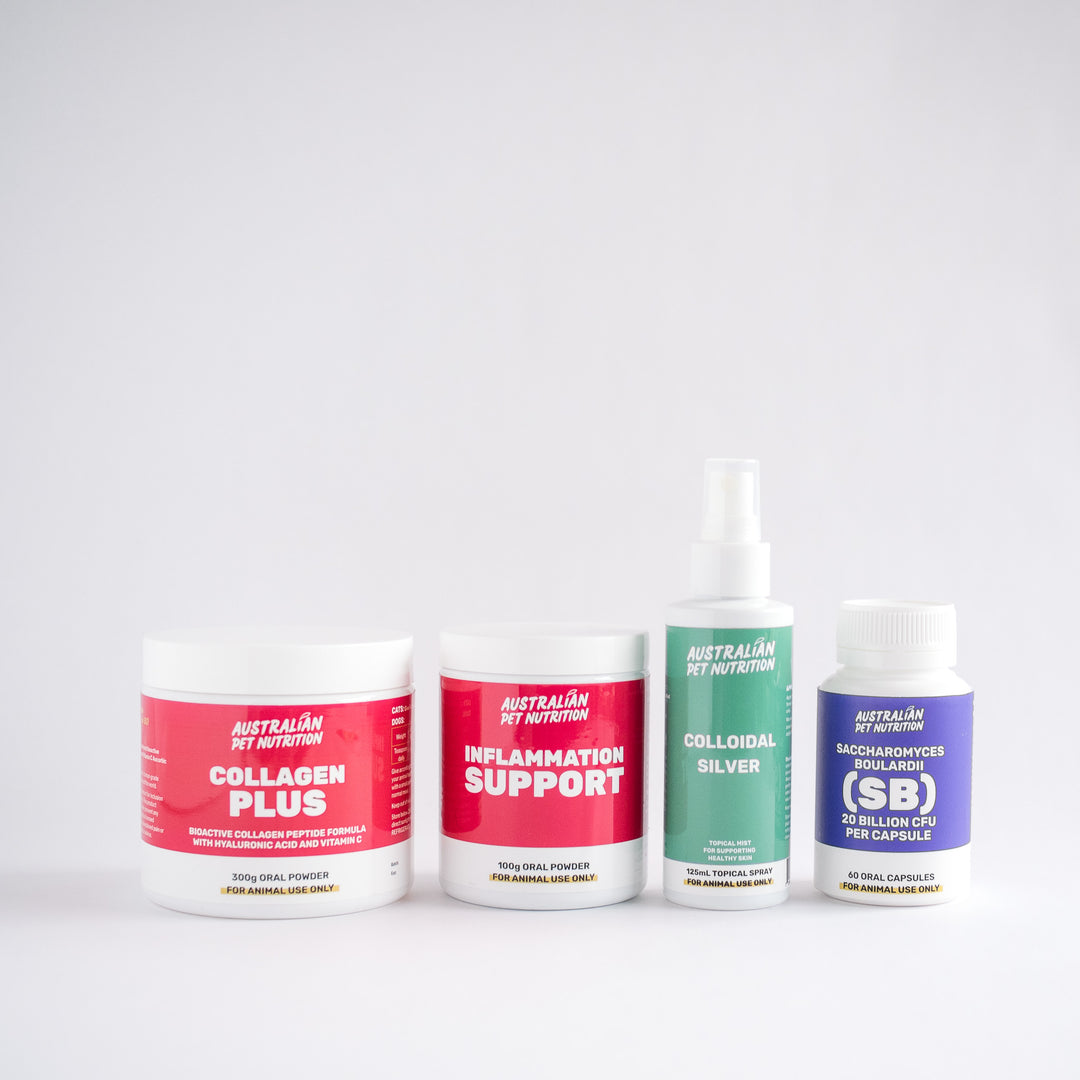 Surgery Recovery Bundle