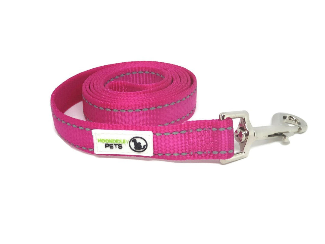 2m Nylon Lead w/ Reflective Stitching