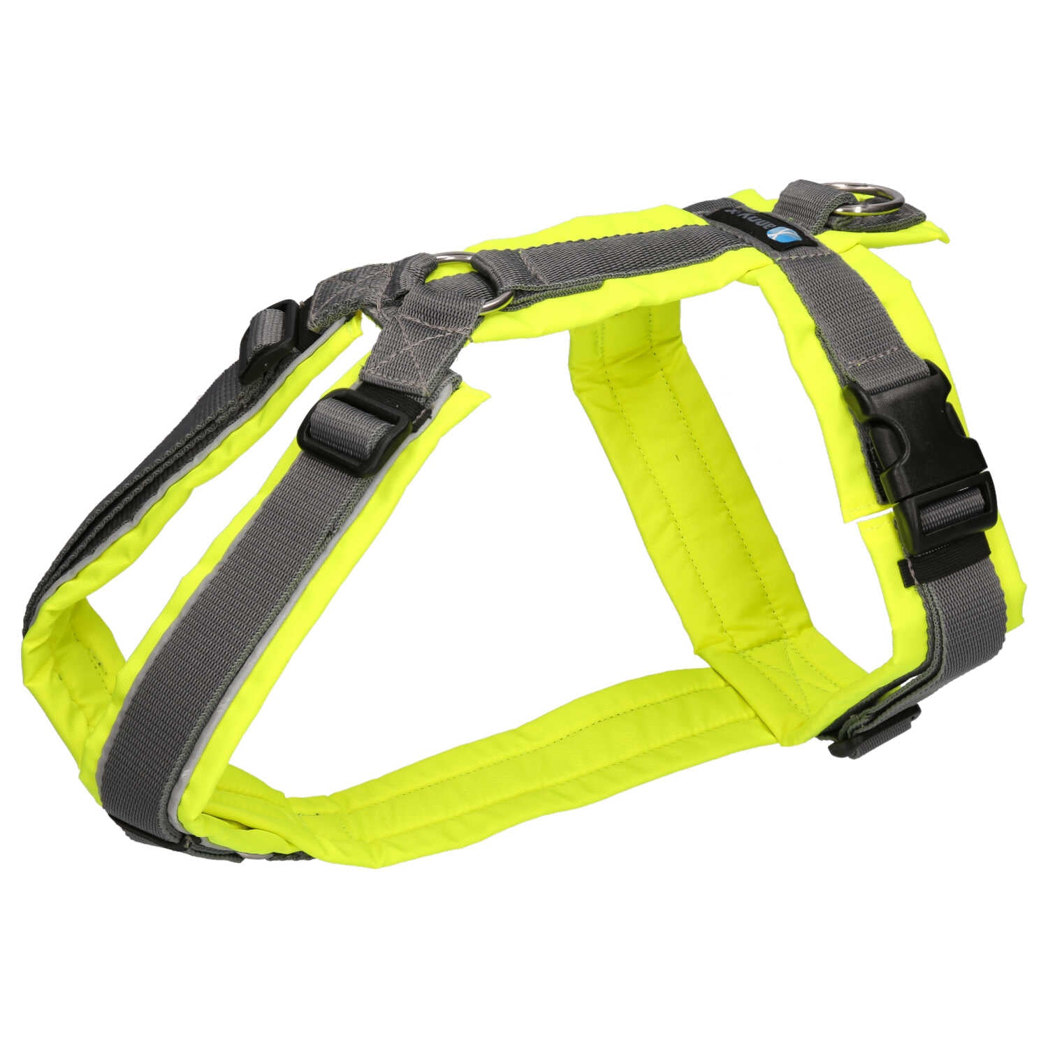 Anny.x Harness Fun