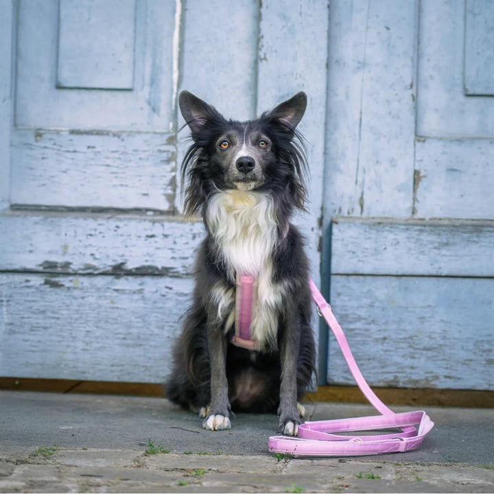 Anny.x Harness Fun Long/Short