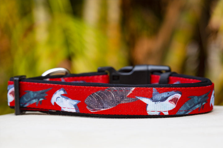 Red Sharks Neoprene Dog Collar