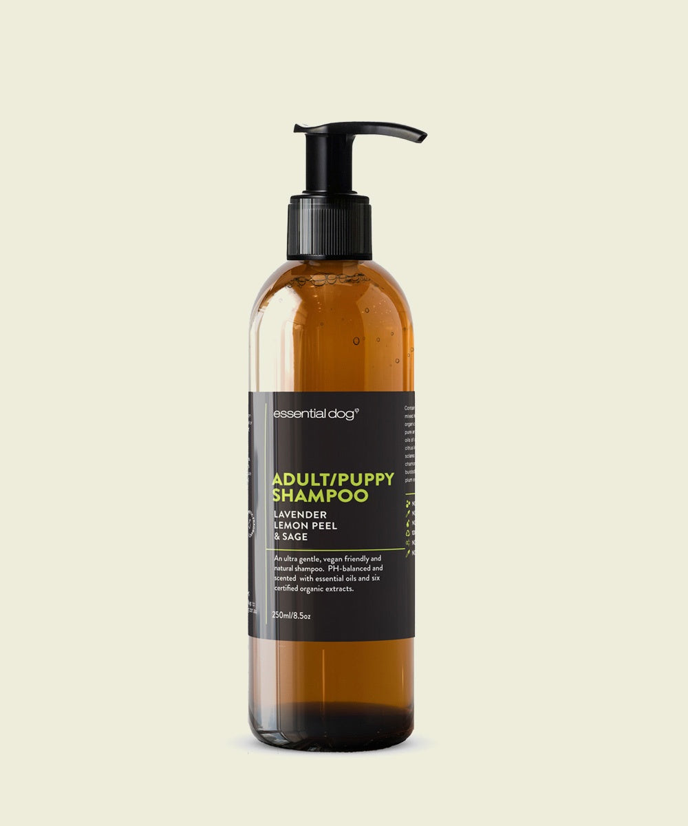 Natural Dog Shampoo: Lavender, Lemon Peel & Clary Sage For Puppies & Adults