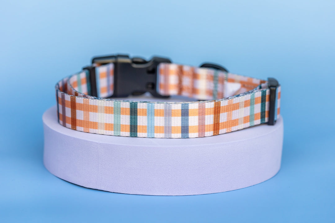 Vintage Gingham Value Range Dog Collar *