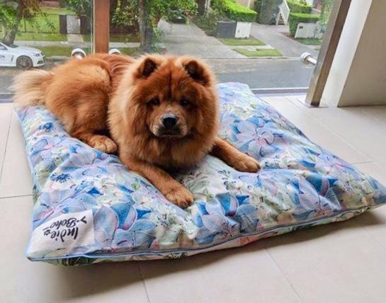 Indie Boho Pet Bed XL