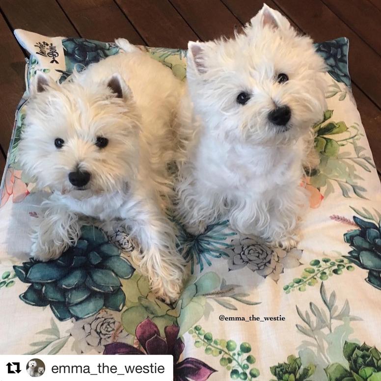 Indie Boho Pet Bed XL