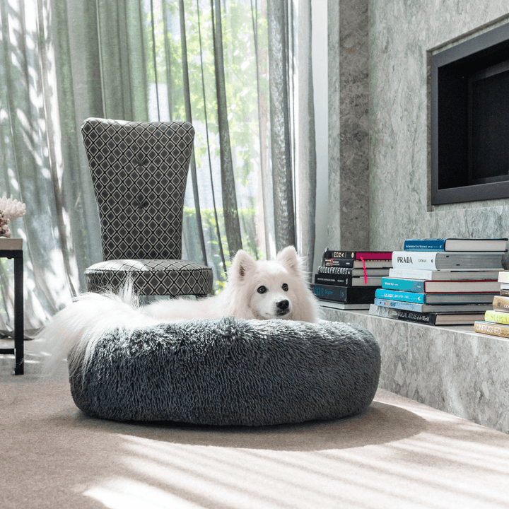 Curl Up Calming Dog Bed