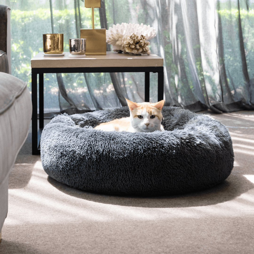 Curl Up Calming Dog Bed
