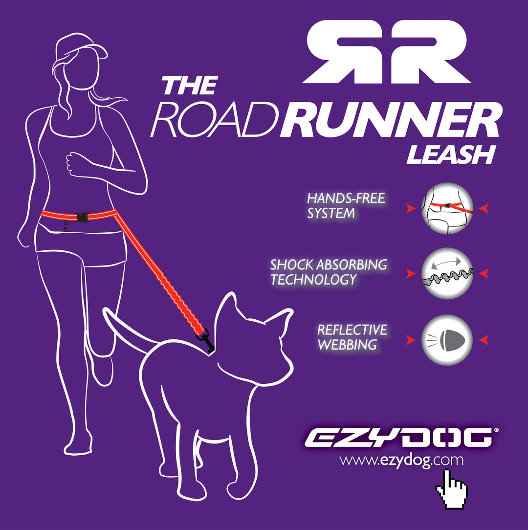Road Runner Leash w / Zero Shock