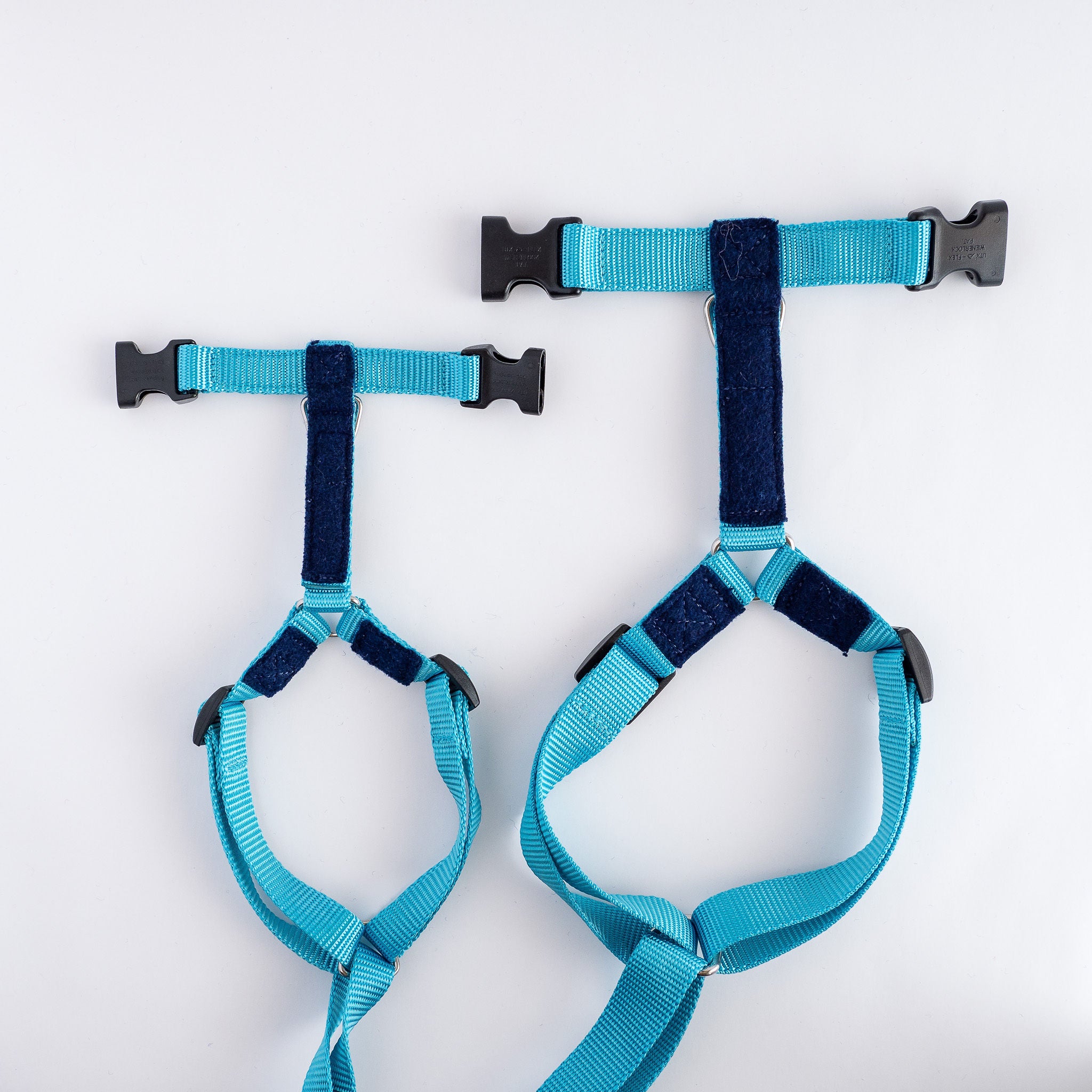 Naked Harness