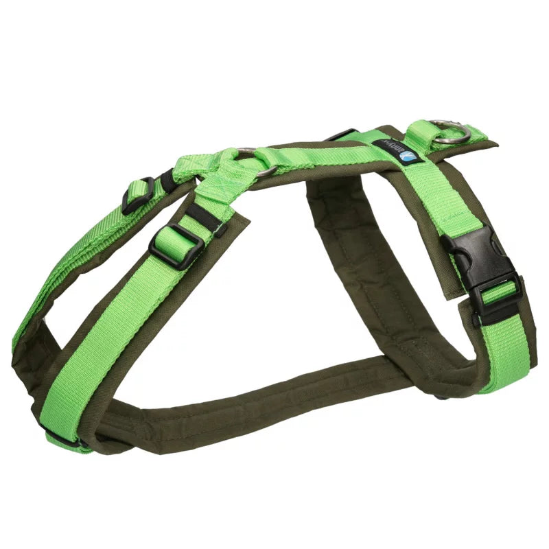 Anny.x Harness Fun