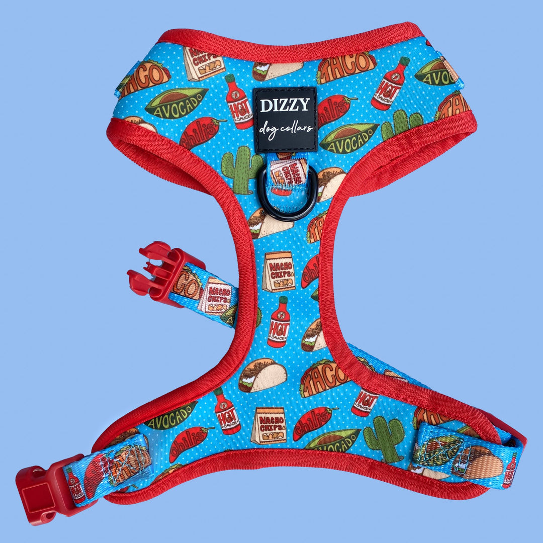 Dizzy Dog Harness - SALE