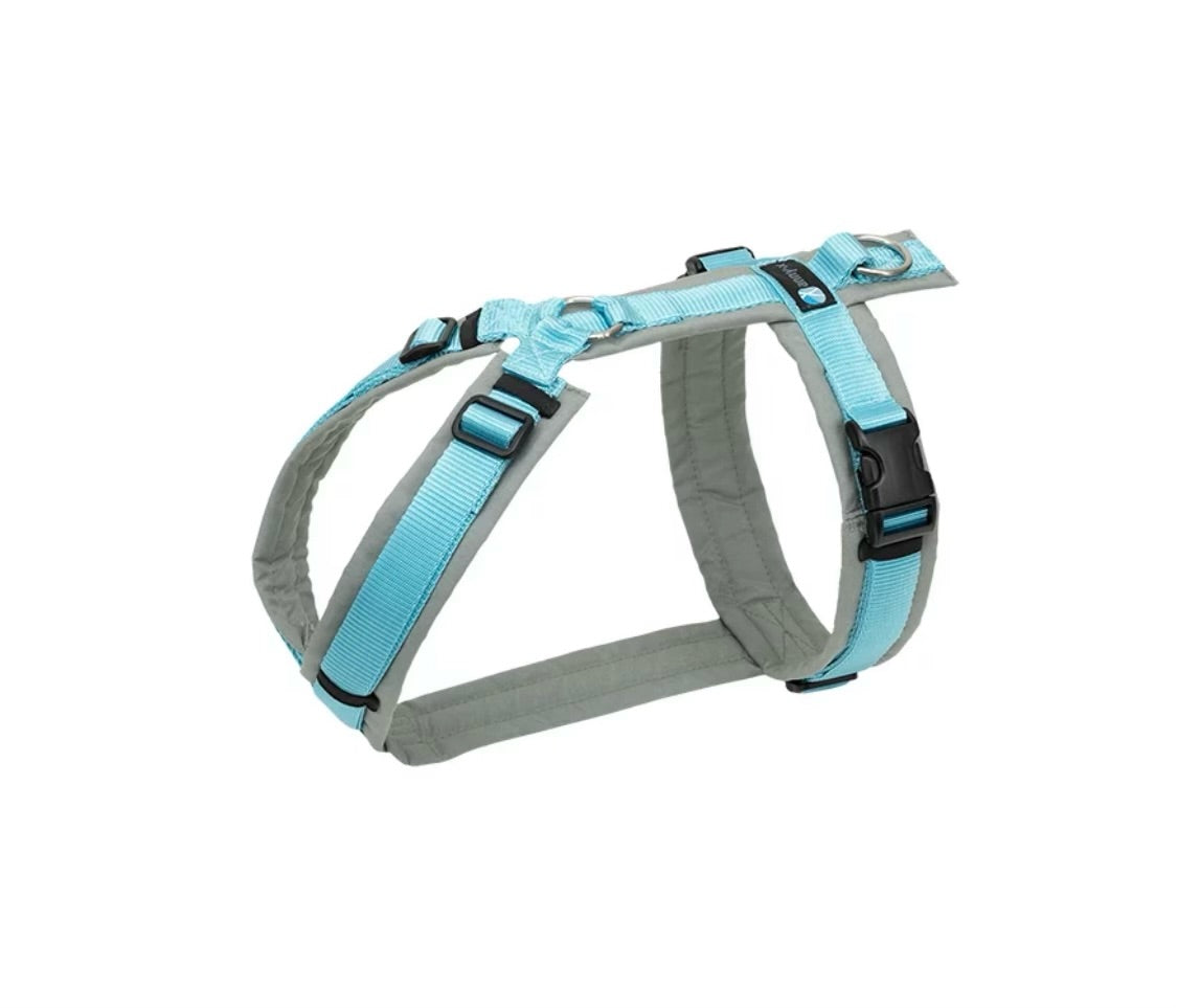 Anny.x Harness Fun