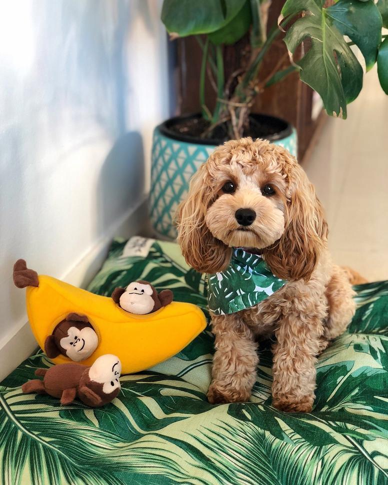 Indie Boho Pet Bed Medium
